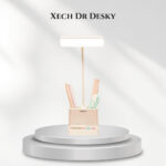 Xech Dr Desky