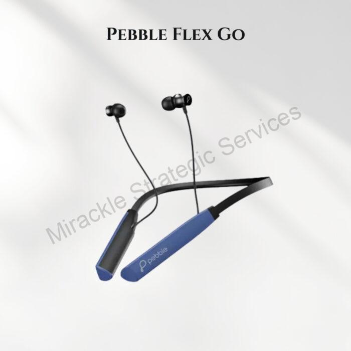 Pebble Flex Go
