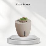 Xech Terra