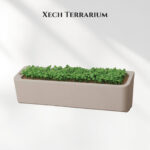 Xech Terrarium