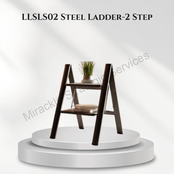 Steel Ladder-2 Step LLSLS02