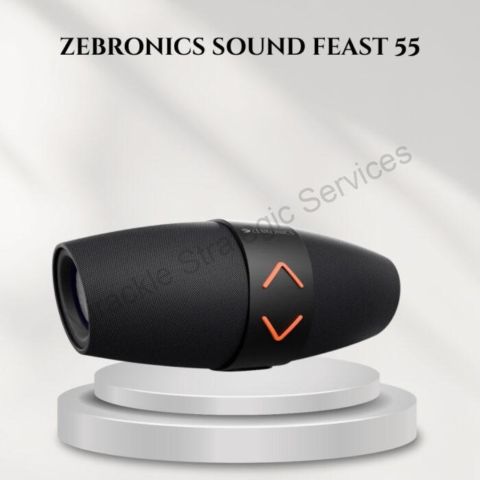 ZEBRONICS SOUND FEAST 55