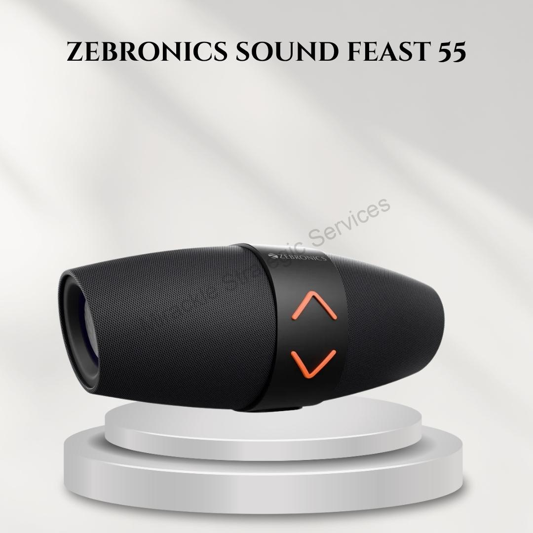 ZEBRONICS SOUND FEAST 55