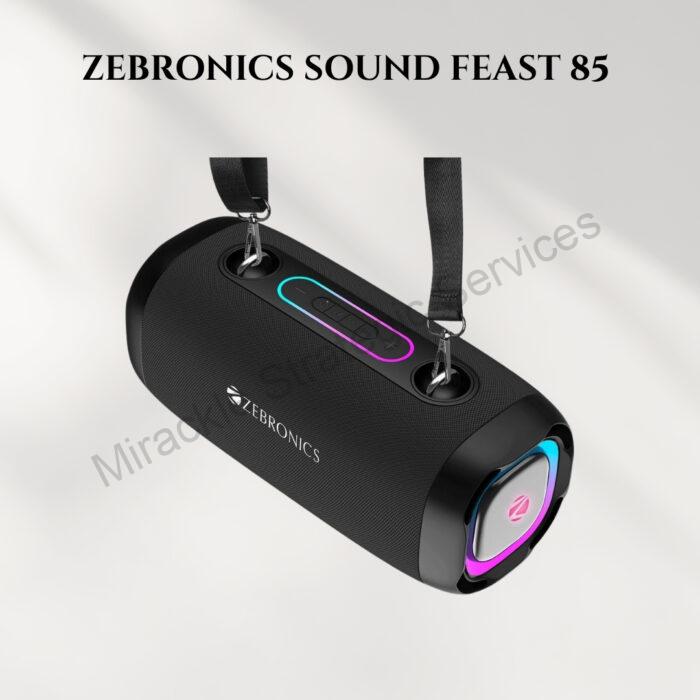 ZEBRONICS SOUND FEAST 85