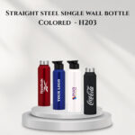 Straight steel single wall bottle Colored  - H203